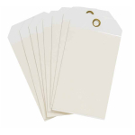 5.75" x 3" Polyester Blank Tag, White