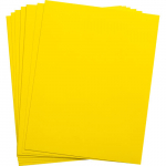 29796 11" x 8.5" Yellow Polyester Label_noscript