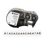 Adhesive Multi-Purpose Polyester Labels 0.625"M4C-625-422