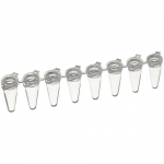 0.15mL PCR 8-tube Strip with Attached Flat Caps_noscript