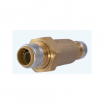 BF1 3/4" Dual Check Valve, FNPT Union Inlet