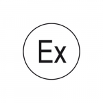CS-EX "Increased Safety" Electrical Symbol_noscript