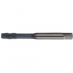 .1181" 6H HL Metric Spiral Point Tap Stainless Steel