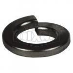 3/8" Stainless Lock Washer for Bolted Clamps_noscript