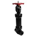 Forged Bellows Seal Gate Valve, 3/4" Size