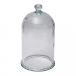 6" x 11" Glass Bell Jar with Knob_noscript