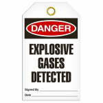 Tag "Danger - Explosive Gases Detected"_noscript