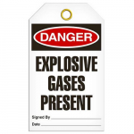 Tag "Danger - Explosive Gases Present"_noscript