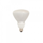 Compact Fluorescent Lamp Flood Bulb 20W