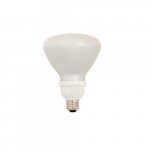 Compact Fluorescent Lamp Flood Bulb 20W_noscript