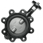 30" Butterfly Valve, Lug Style, Stainless Steel Disc_noscript