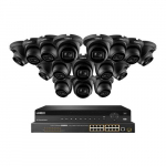 16-Channel NVR System, 16 Black IP Dome Cameras