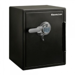 SentrySafe Biometric Water and Fireproof Safe