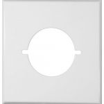 2.125" Hole White Painted Steel Wallplate_noscript