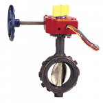 WD-3510-4 8" Butterfly Valve, with Gear Operator