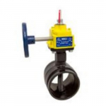 GD-4865-C-8-N-WP 2-1/2" Grooved Butterfly Valve, 300_noscript