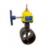 GD-6865-C-8N 10" Grooved Butterfly Valve, 350_noscript