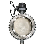 Sure Seal 10" High Performance Butterfly Valve