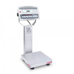 D52XW12WQS6 Multifunctional Bench Scale_noscript