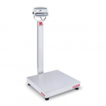 D52XW250RQV3 Multifunctional Bench Scale