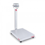 D52XW500RTV3 Bench Scale with NTEP Certificate_noscript
