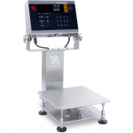 i-D61XWE12K1R6 Washdown Bench Scale for Industrial_noscript