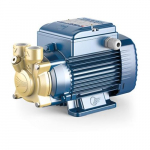 PVm55 Pump with Peripheral Impeller V.230/50-60HZ