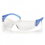 Clear Lens with Blue Temples