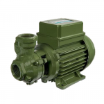 KF Series Peripheral Electric Pump, 1Hp, 115V, 60Hz_noscript