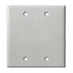 Double Gang Blank Wall Plate, White_noscript