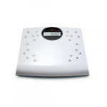 804 Digital Non-Medical Scale with BW / BF Function_noscript