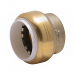 1" PVC Cap FittingUIP520