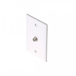 White Wall Plate with TV Coupler