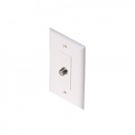 1GHz TV F81 Decorator Wall Plate_noscript