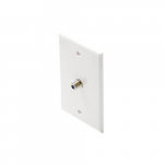 White TV Wall Plate with 2.5GHz Coupler