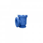SD22-CI 10" x 10" Suction Diffuser, CI, Flanged Ends_noscript