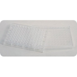 Clear Plastic Well Plate_noscript