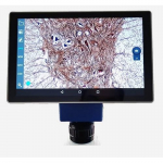 10.1" Tablet w/ Integrated 5.0 MP Camera, USB