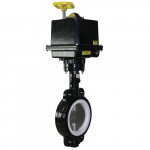 Butterfly Valve, 4in Exp Electric 2-Position_noscript