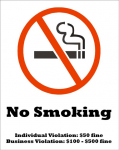 "No Smoking - Individual Violation" Label_noscript