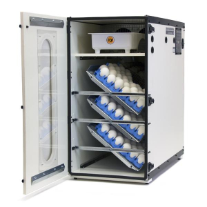 Buy GQF 1500, Digital Professional Incubator, 110V - Mega Depot