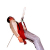Additional image #2 for FallTech 5030250