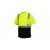 Pyramex RTS2110BX2