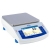Radwag PS 4500.X2-NTEP