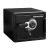 SentrySafe SFW082DTB