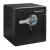 SentrySafe SFW123BDC