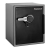 SentrySafe SFW205GQC