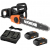 Worx WG384