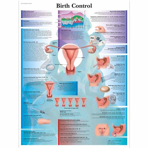 3b Scientific 1001580, Chart "birth Control"