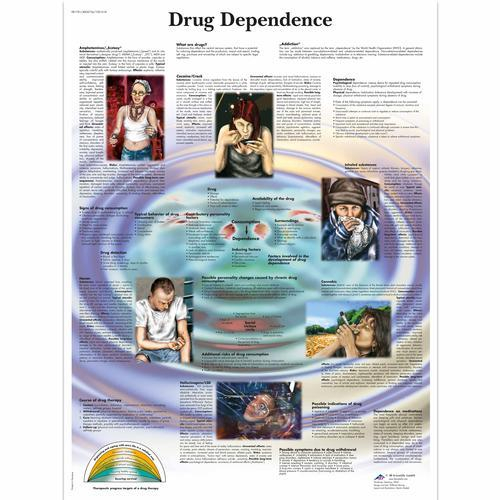 3b Scientific 1001618, Chart "drug Dependence"